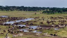 Ndutu Safari Lodge