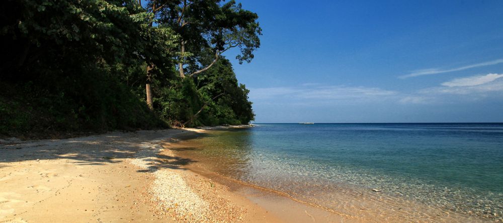 Scenery at Gombe Forest Lodge, Gombe National Park, Tanzania - Image 5