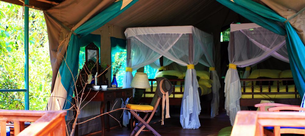 Tent at Gombe Forest Lodge, Gombe National Park, Tanzania - Image 1