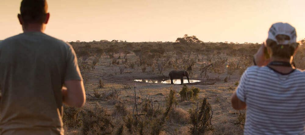 Watching wildlife at Skybeds - Image 5