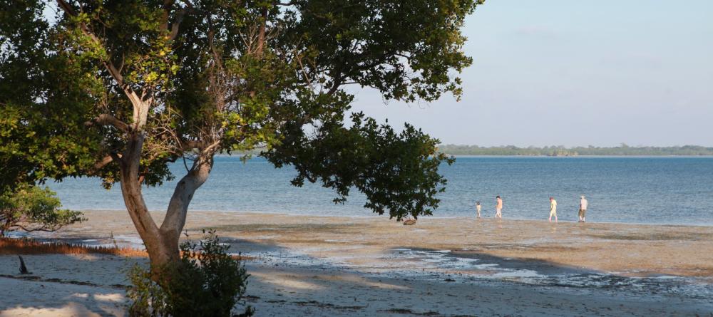 Enjoy beach walks at Kinasi Lodge, Mafia Island, Tanzania (Mango staff photo) - Image 1