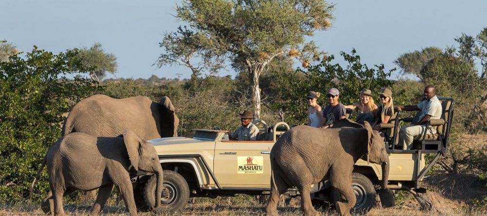 Mashatu Lodge, Mashatu Game Reserve, Botswana - Image 7