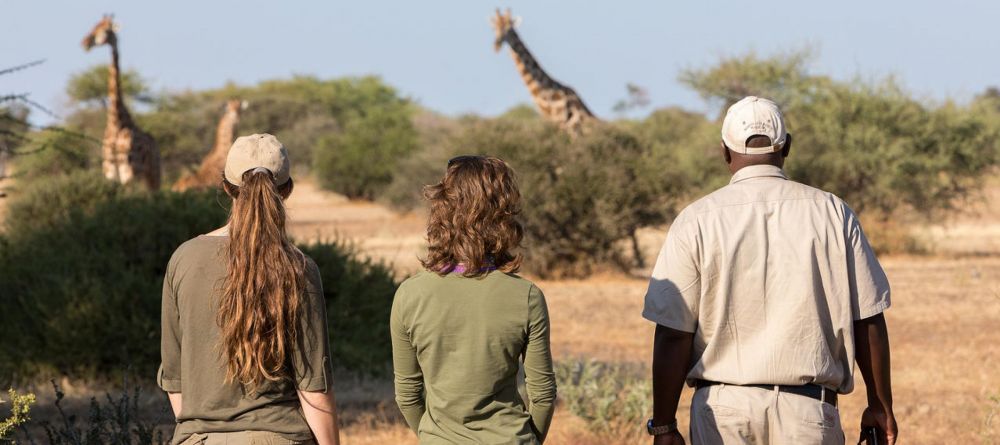 Mashatu Lodge, Mashatu Game Reserve, Botswana - Image 9