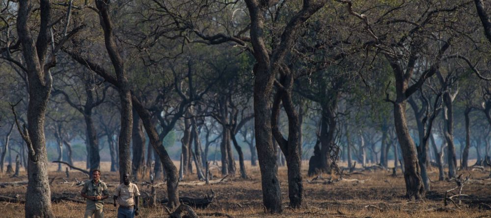 Shawa Luangwa Camp Activities - Image 1