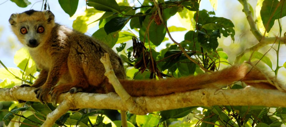 Le Relais de la Reine, Madagascar - Image 1