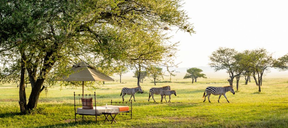 Sabora Tented Camp, Grumeti Private Reserve, Tanzania - Image 22