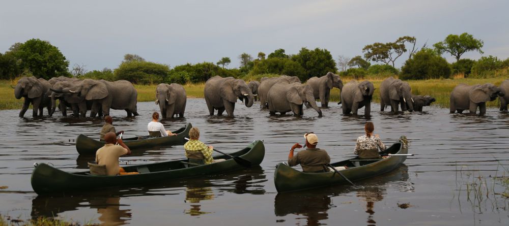 Canoeing with the elephants - Image 2