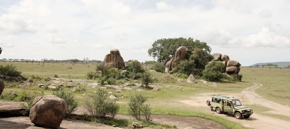 Game drive at Dunia Camp, Serengeti National Park, Tanzania - Image 8