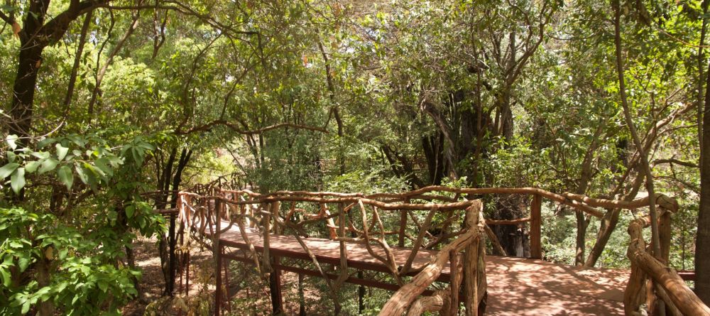 Sarara the Treehouses - Forest Walkways - Image 4