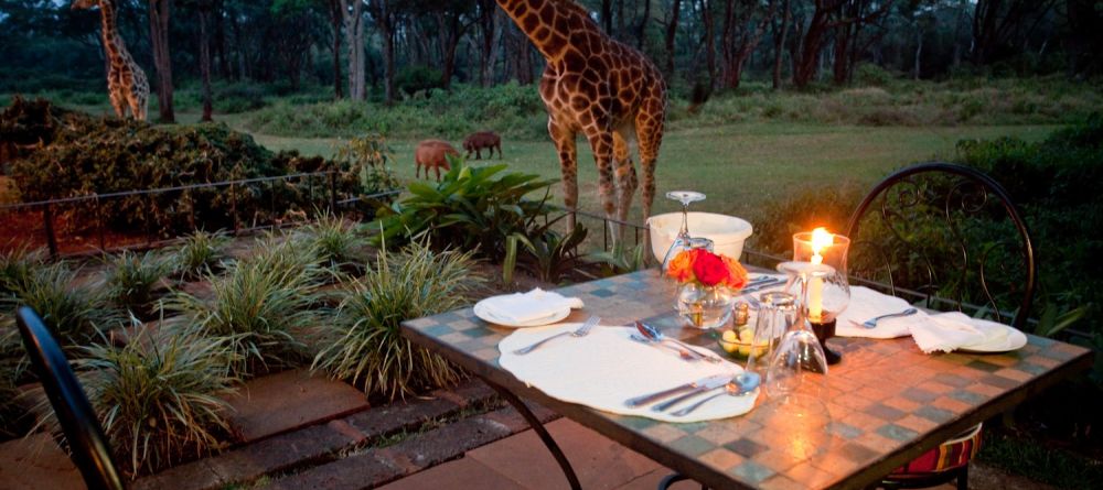 A common view for dinner- Giraffe Manor, Nairobi, Kenya - Image 8