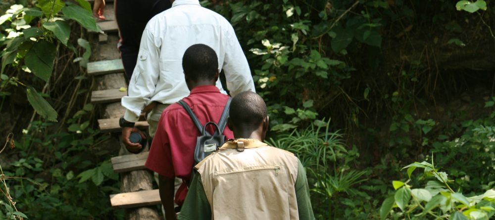 A jungle walk at Gombe Forest Lodge, Gombe National Park, Tanzania - Image 10