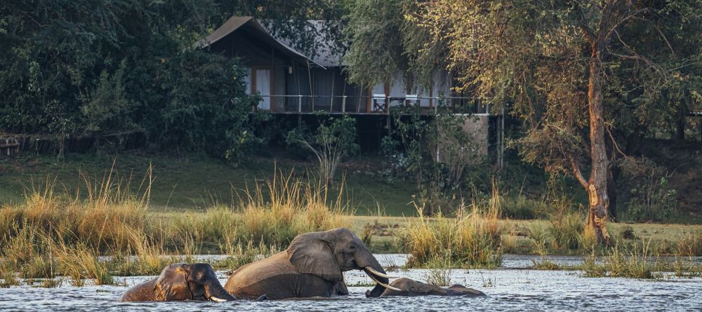 Anabezi Camp - Image 5