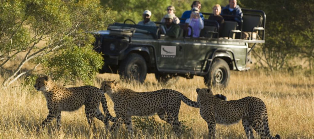 Ngala Tented Camp, Kruger National Park, South Africa © AndBeyond - Image 5