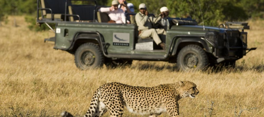 Ngala Safari Lodge, Kruger National Park, South Africa © AndBeyond - Image 6