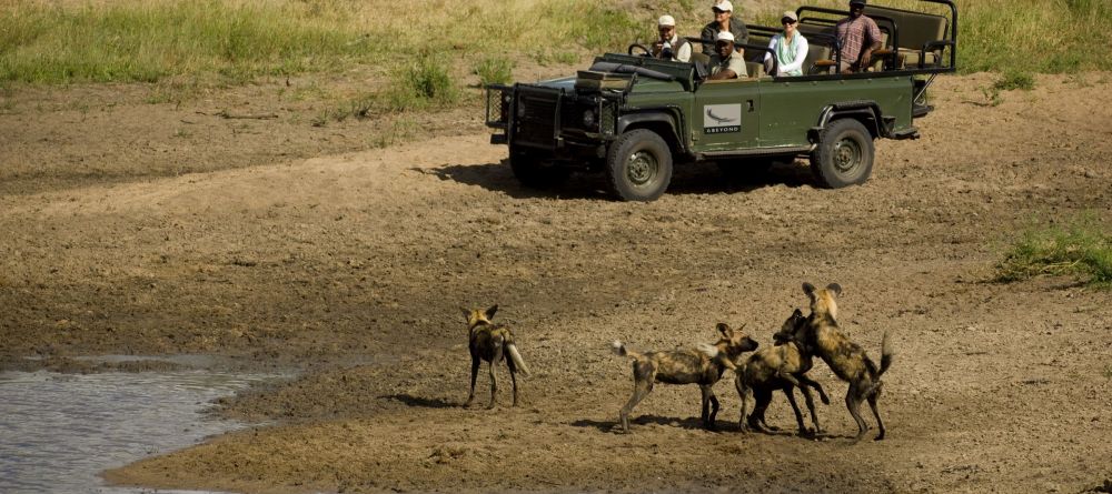 Ngala Safari Lodge, Kruger National Park, South Africa © AndBeyond - Image 7