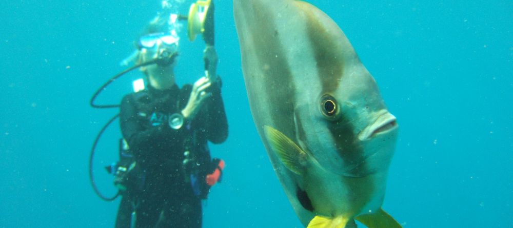 Azura Benguerra diving - Image 3