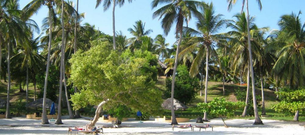 The lodge blends perfectly into the pristine beach setting at Kinasi Lodge, Mafia Island, Tanzania - Image 16