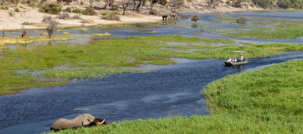 Family on safari at Leroo Le Tau - Image 6