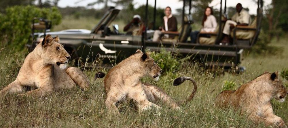 Sandibe Safari Lodge, Okavango Delta, Botswana - Image 5