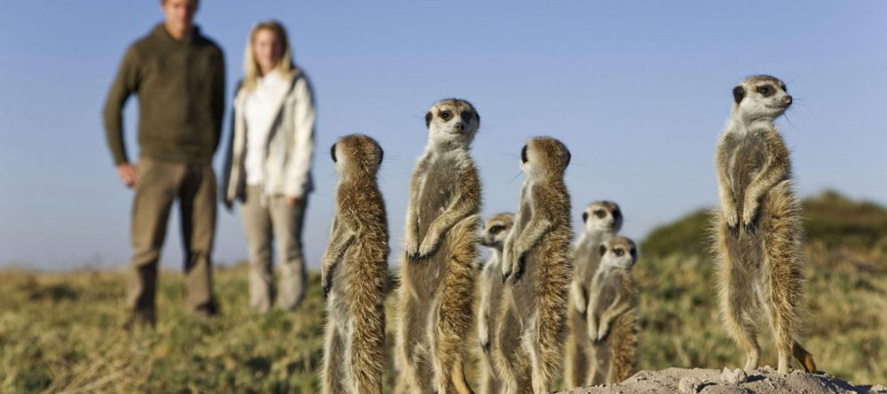 Jacks Camp, Kalahari Desert, Botswana - Image 16