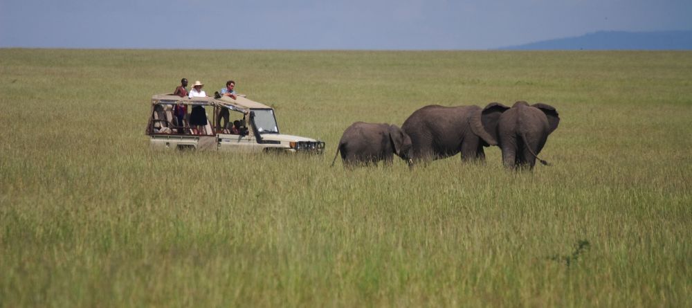 A game drive encounters a trio of elephants wandering the plains at Naibor Camp, Masai Mara National Reserve, Kenya - Image 1