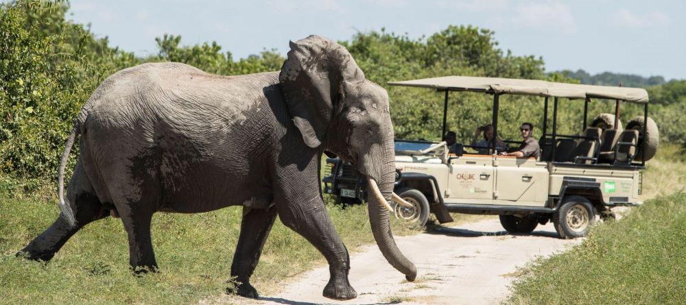 Game drive - Image 9