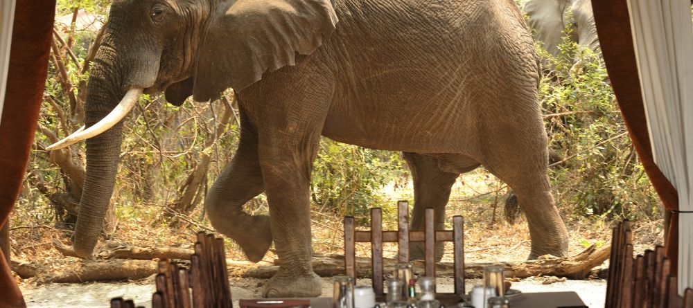 Chiawa Camp, Lower Zambezi National Park, Zambia - Image 7