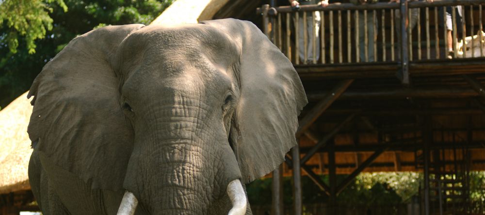 Chiawa Camp, Lower Zambezi National Park, Zambia - Image 9