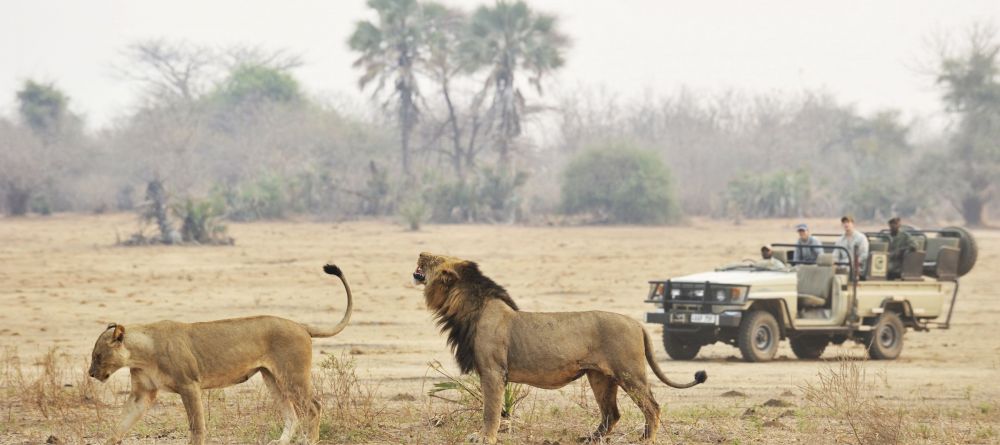 Chiawa Camp, Lower Zambezi National Park, Zambia - Image 11