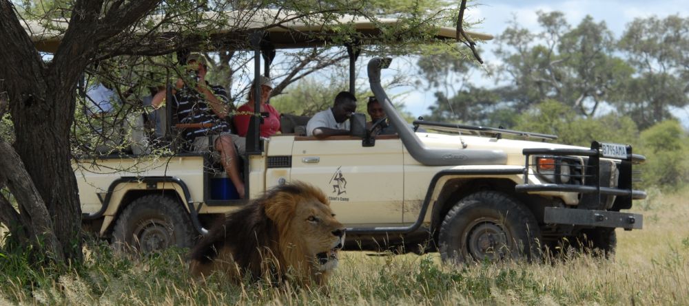 Chiefs Camp, Moremi Game Reserve, Botswana - Image 11