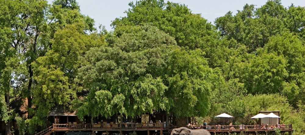 Chiefs Camp, Moremi Game Reserve, Botswana - Image 12