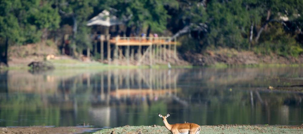 Chindeni Bush Camp, South Luangwa National Park, Zambia - Image 6