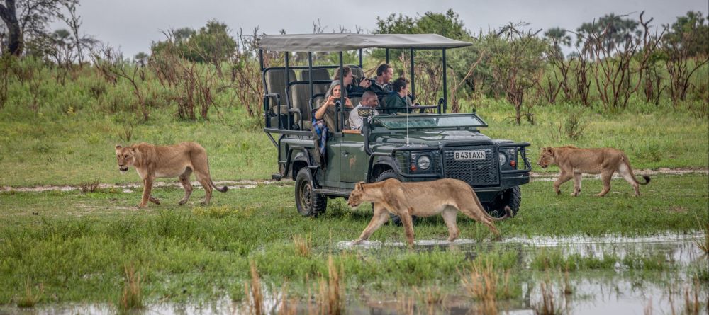 Chitabe Lediba Camp, Moremi Game Reserve, Botswana - Image 5