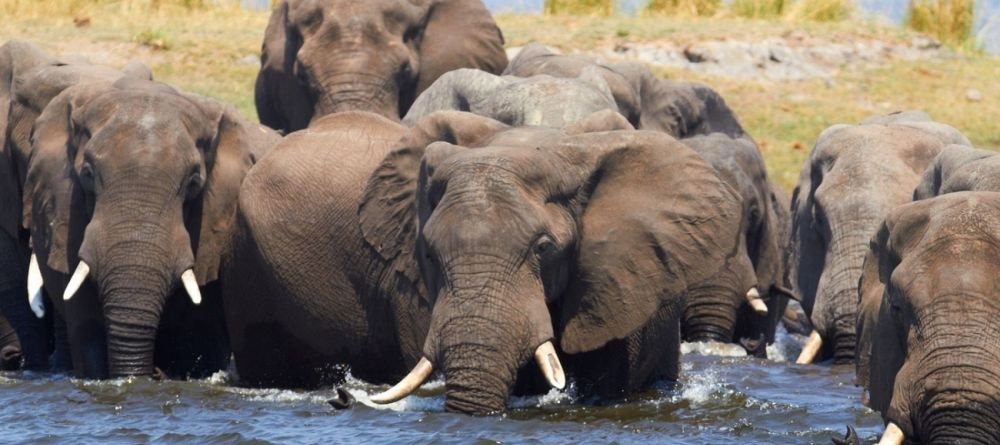 Old Mondoro, Lower Zambezi National Park, Zambia - Image 3