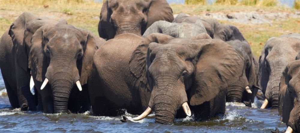 Nsolo Bush Camp, South Luangwa National Park, Zambia - Image 6