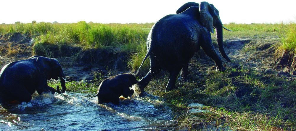 Chobe Safari Lodge, Chobe National Park, Botswana - Image 9