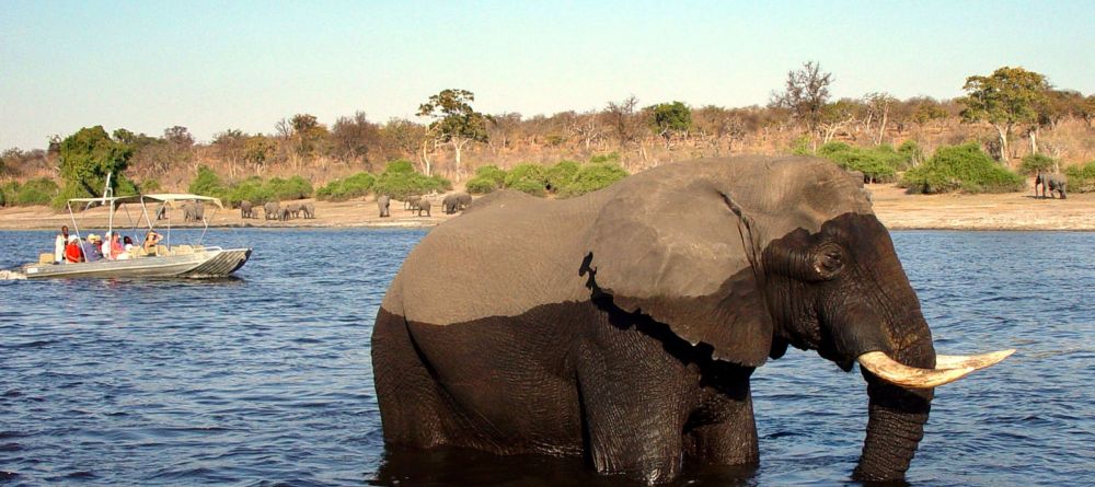 Chobe Safari Lodge, Chobe National Park, Botswana - Image 10