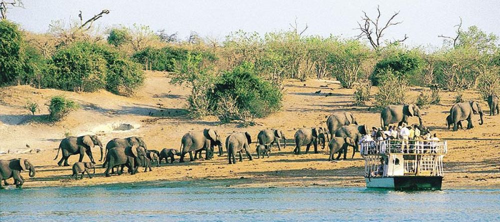 Chobe boat cruise - Image 11