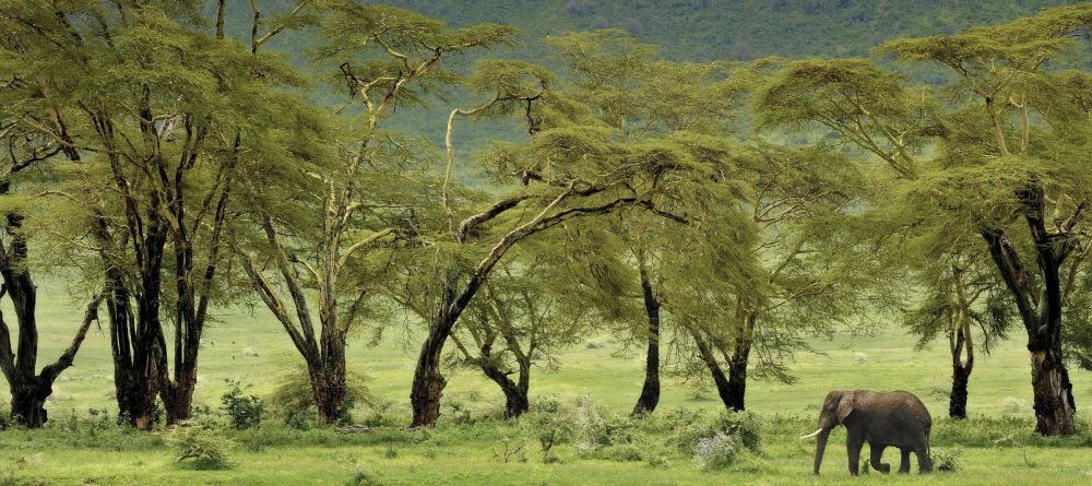 Entamanu Ngorongoro, Ngorongoro Crater, Tanzania - Image 13