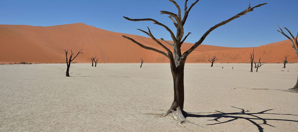 Kulala Desert Lodge, Sossusvlei, Namibia - Image 3