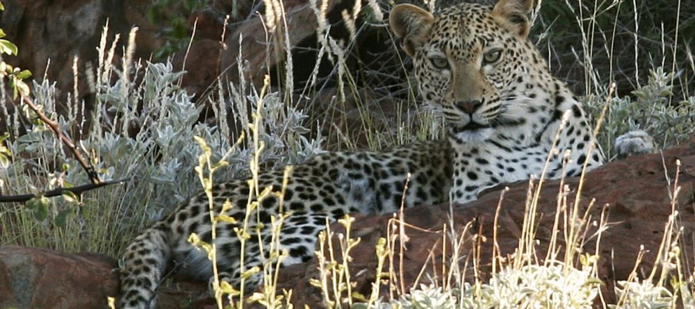 Desert Rhino Camp, Damaraland, Namibia Â© Mike Myers - Image 12