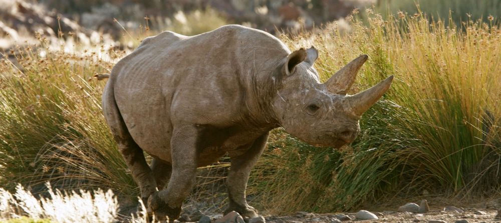 Desert Rhino Camp, Damaraland, Namibia Â© Mike Myers - Image 13