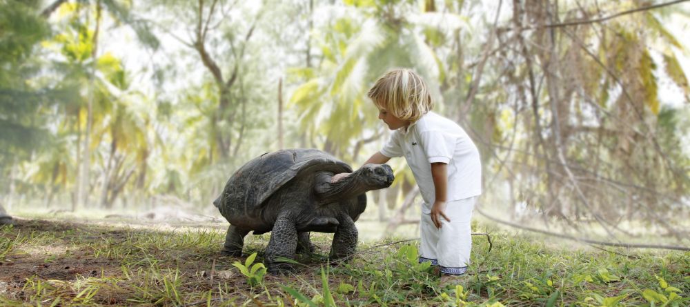 Meeting a turtle at Desroches Island Resort, Desroches Island, Seychelles - Image 5