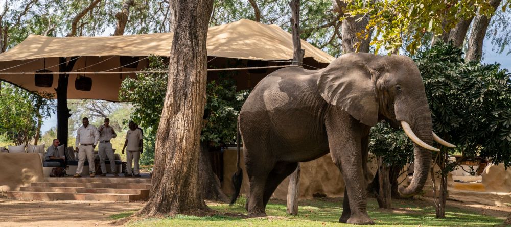 Chongwe River Camp, Lower Zambezi National Park, Zambia - Image 8