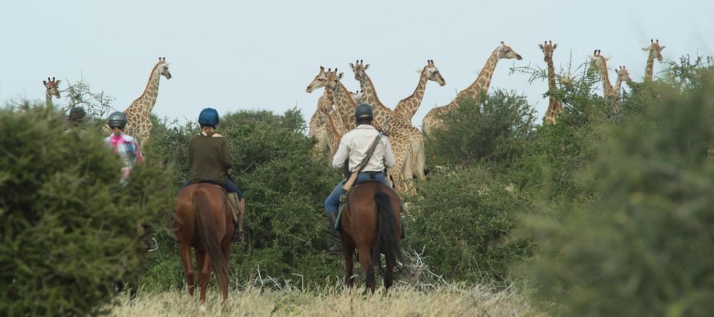 Mashatu Lodge, Mashatu Game Reserve, Botswana - Image 1