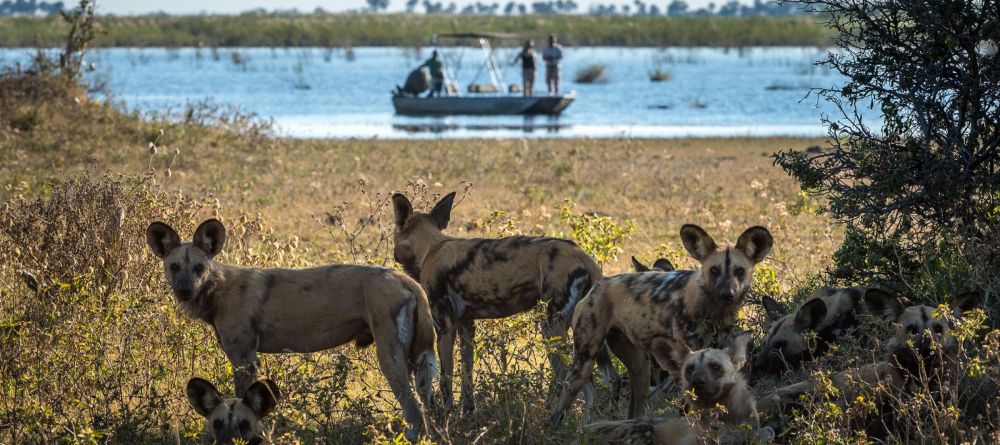 Duma Tau, Linyanti Wetlands, Botswana - Image 14