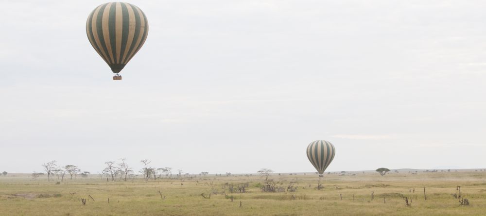 Hot air balloon rides at Dunia Camp, Serengeti National Park, Tanzania - Image 11