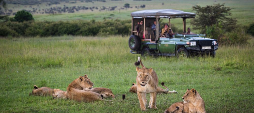 Mara Plains Camp, Masai Mara National Reserve, Kenya - Image 22