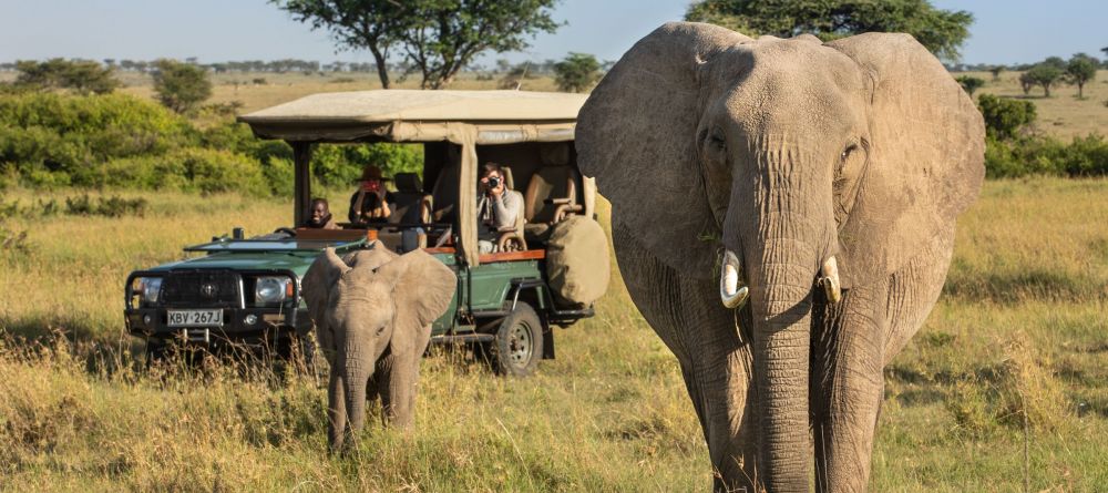 Mara Plains Camp, Masai Mara National Reserve, Kenya - Image 15