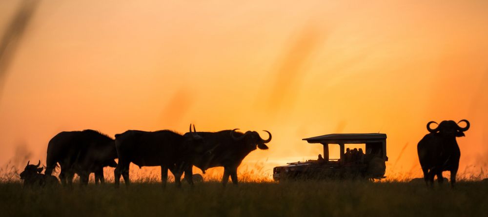 Mara Plains Camp, Masai Mara National Reserve, Kenya - Image 9